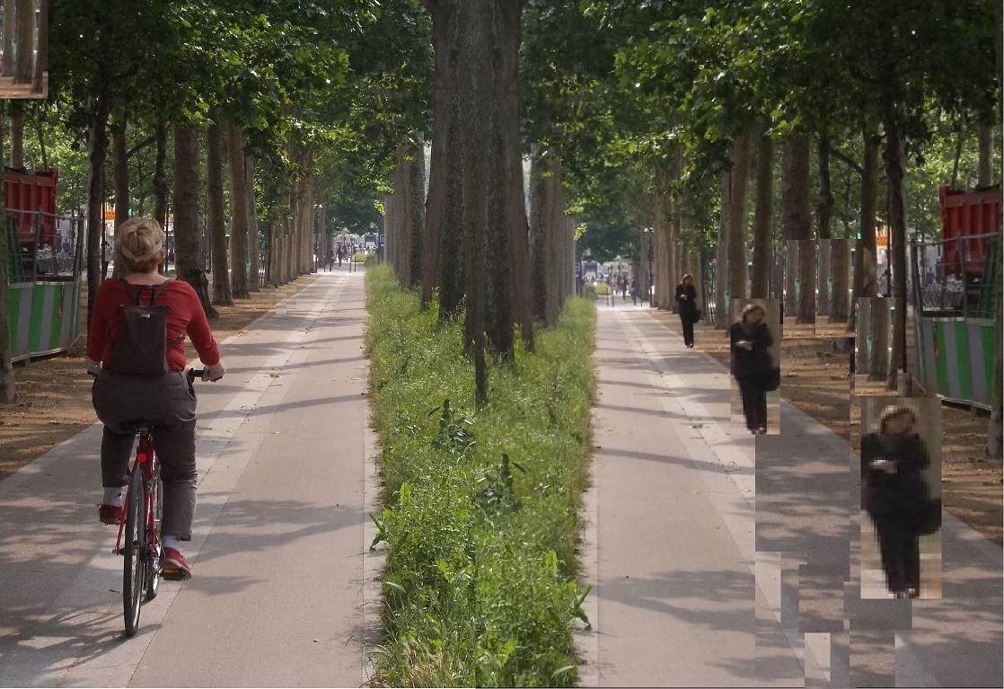 Pedestrians and cyclists on separate tracks